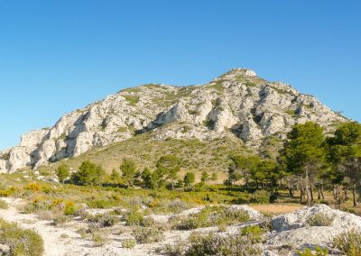 Les Alpilles