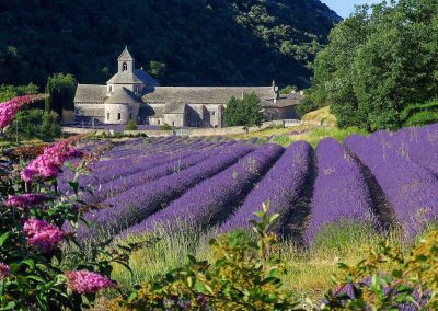 L'Abbaye de Sénanquein its lavender case!